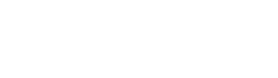 Inclusive Employment Australia logo with no tagline